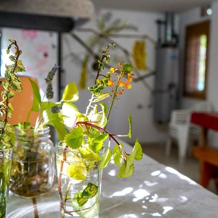 Eiru Hostel Санта-Роса-де-Каламучита Экстерьер фото